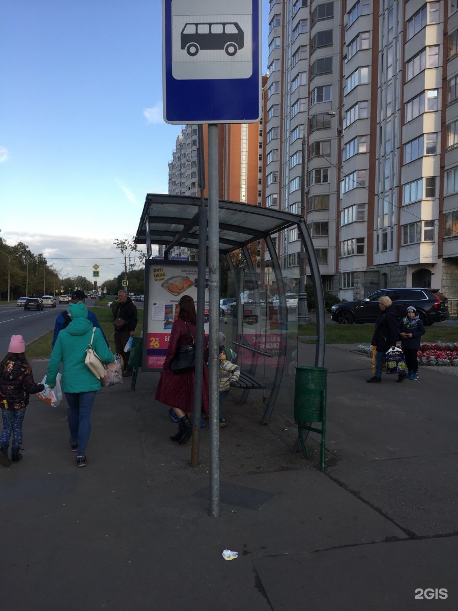 Хабаровск некрасовка автобус. Остановка Некрасовка. Автобус 1179. Автобус 855 Некрасовка. Маршрутка 1179 Некрасовка.