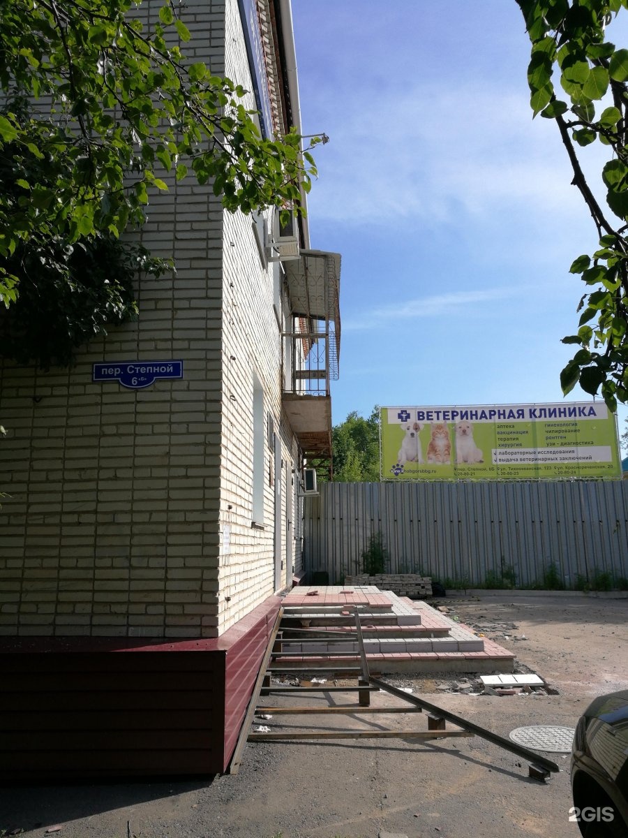 Переулок степной. Переулок Степной 17 Хабаровск. Переулок Степной 6 б Хабаровск ветеринарная клиника. Переулок Степной 6б. Переулок Степной 6 в Хабаровске.