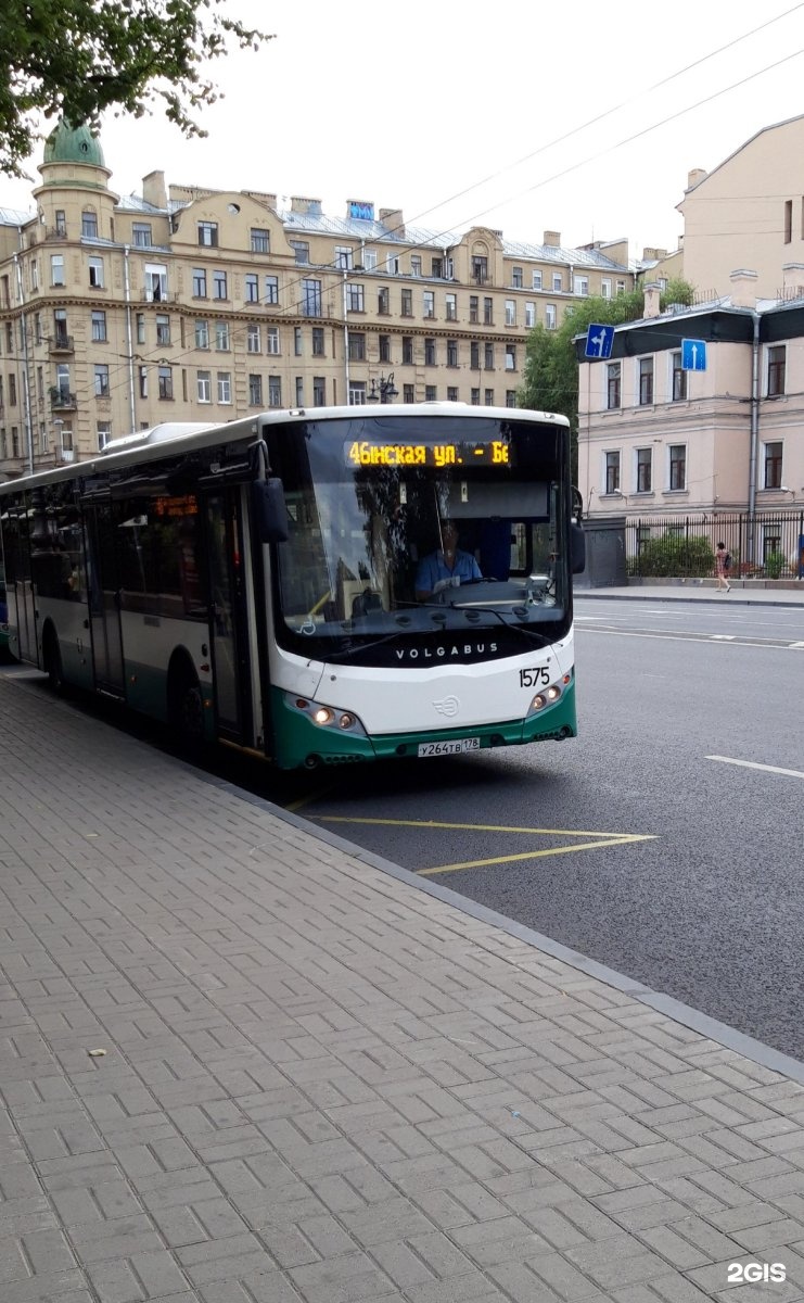 Автобус 46 санкт петербург маршрут. Автобусы в Питере. 46 Автобус. Автобус 46 Санкт-Петербург. Фото автобуса Санкт Петербург.