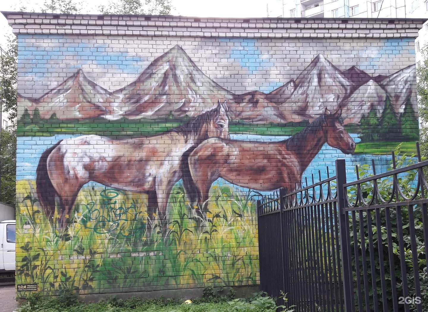 Граффити лошадь