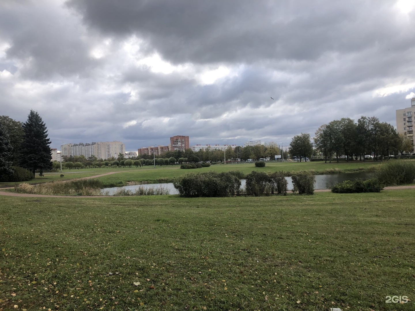 Сосновая поляна санкт петербург фото