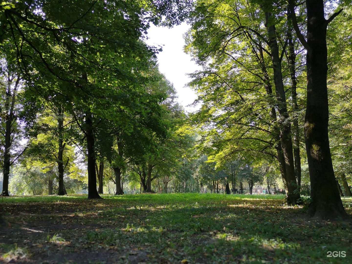 ландшафтный парк калининград
