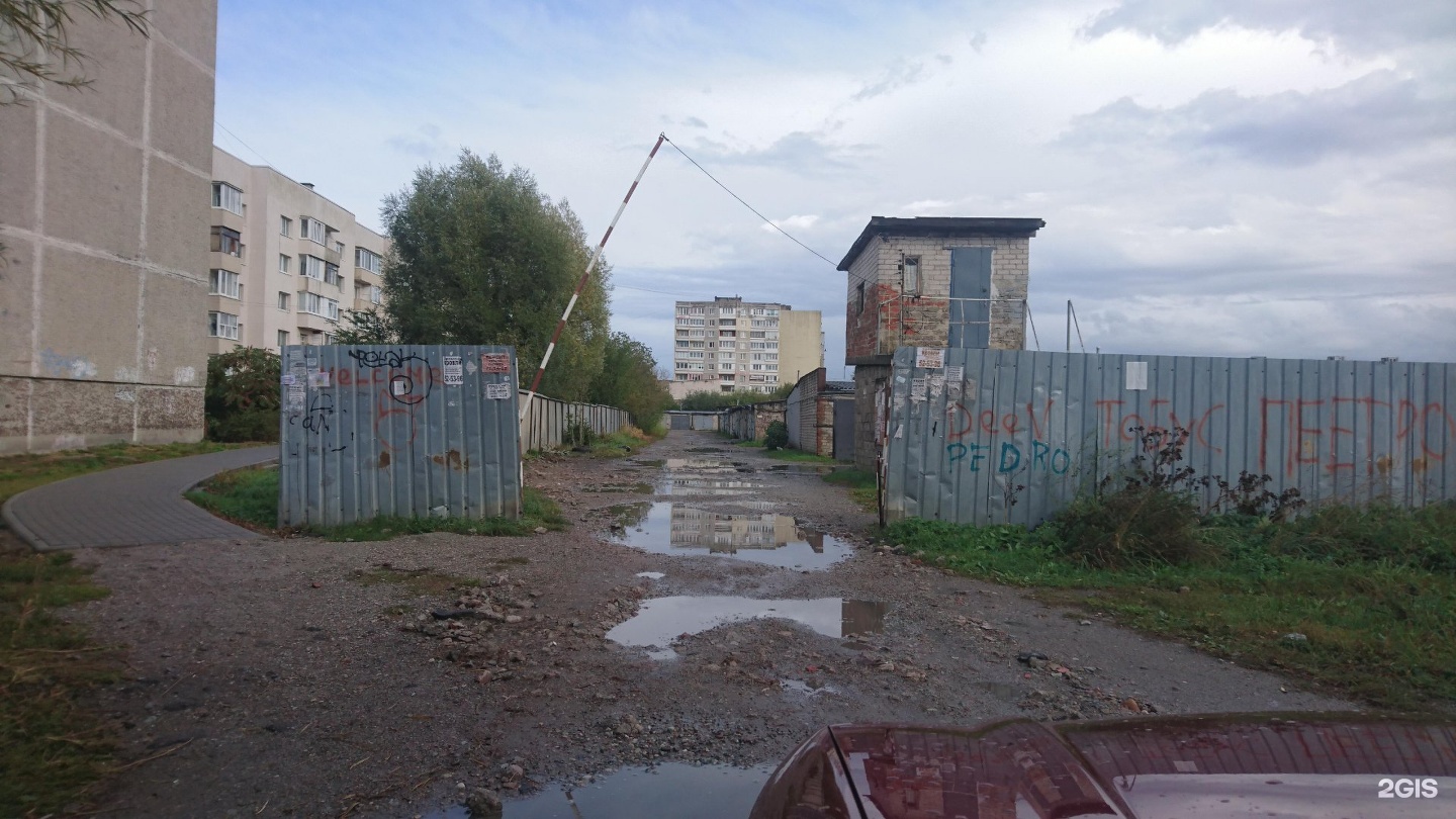 Гаражное общество. Гаражное общество старт Калининград. Калининград гаражное общество зеленая волна.. Калининград гаражи.