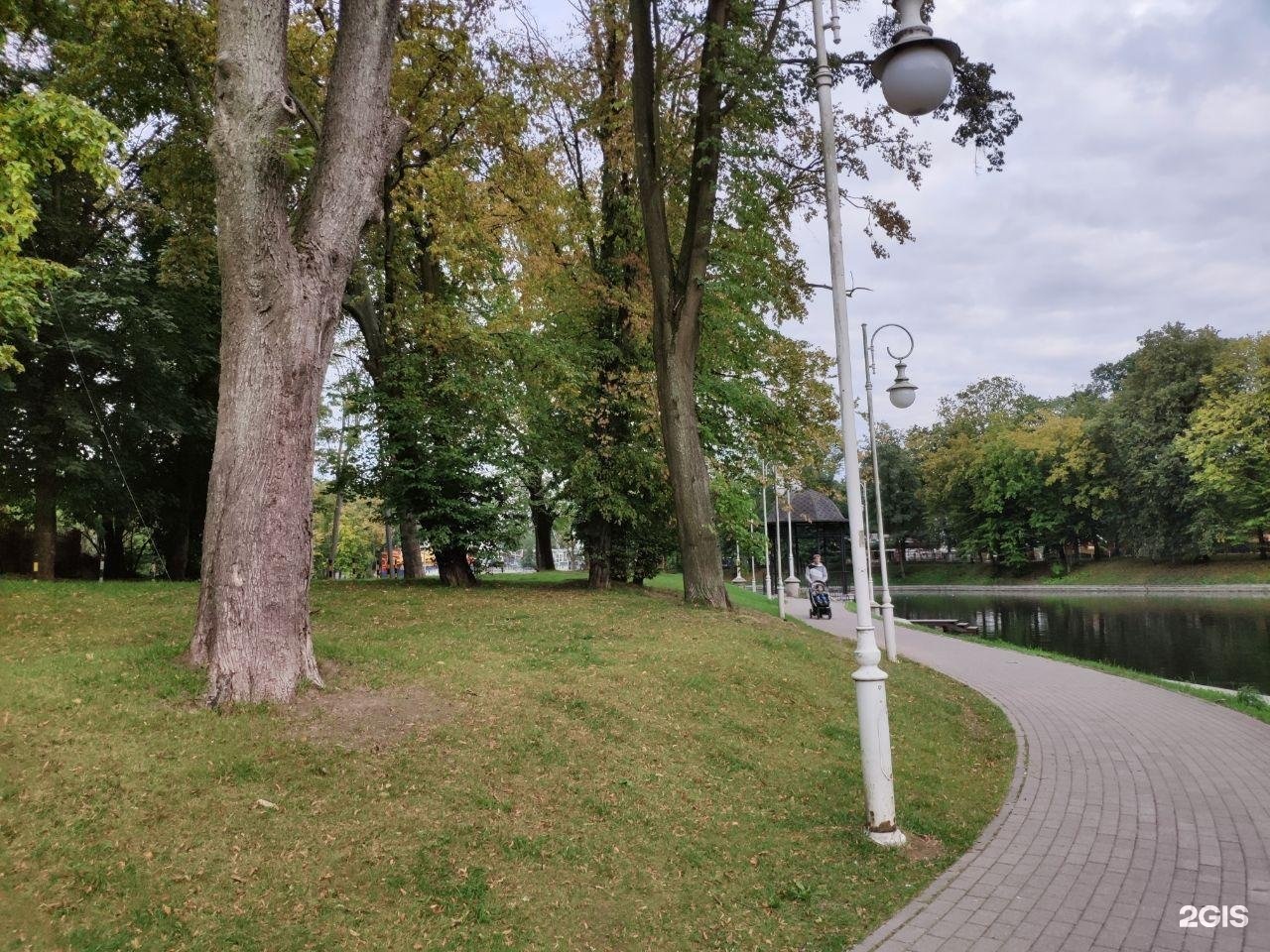 Парк Юность Калининград Фото