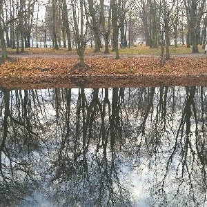 Фото от владельца Южный, ландшафтный парк