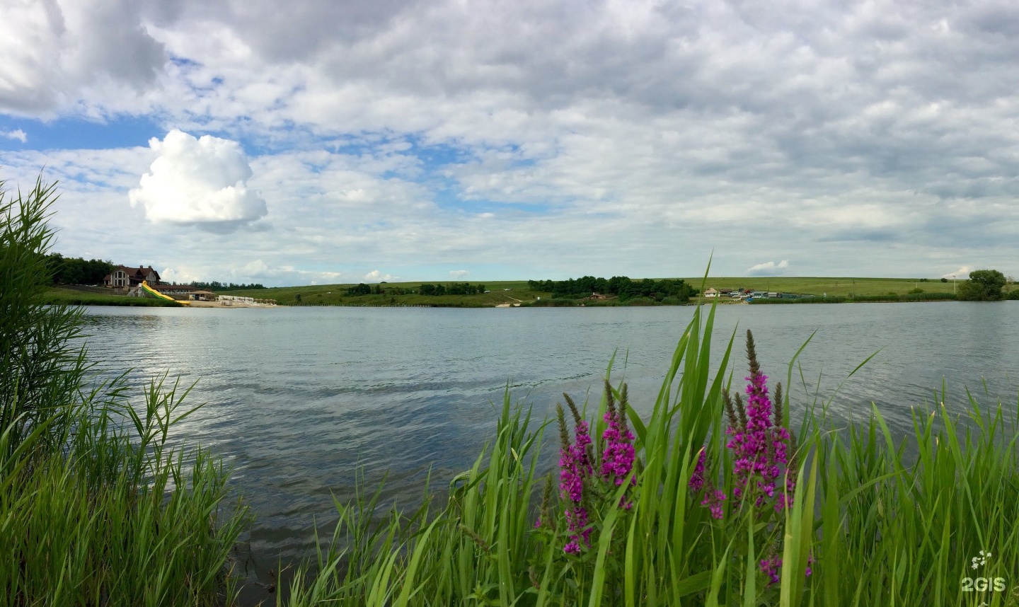 Село шагаровка. Белгородский Шагаровский пруд Белгород. Русская деревня Белгород Шагаровка. Шагаровка водоем Белгород. Шагаровка Белгородская область рыбалка.