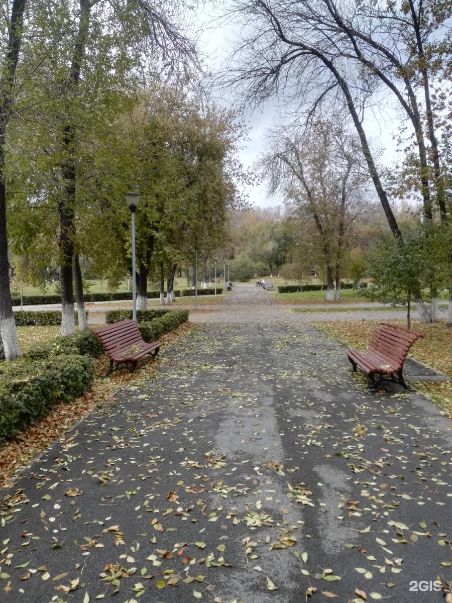 Сады новокузнецка. Парк Алюминщиков в Новокузнецке. Сад Алюминщиков Новокузнецк. Дворец Алюминщиков Новокузнецк парк. ДК Алюминщик Новокузнецк парк.