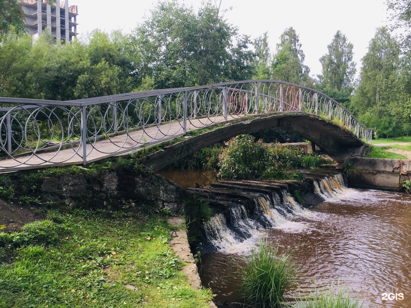 Парк пионеров петрозаводск