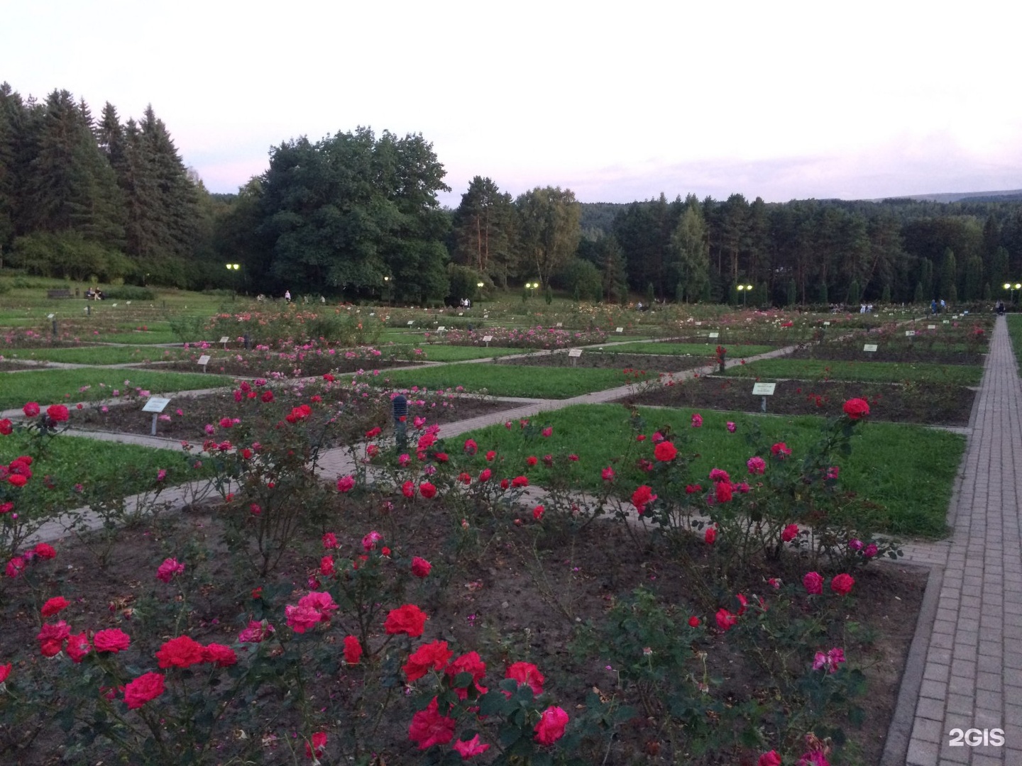 Парк роз Тбилиси