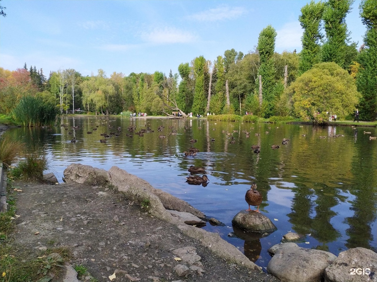 Фото Парков Екатеринбурга