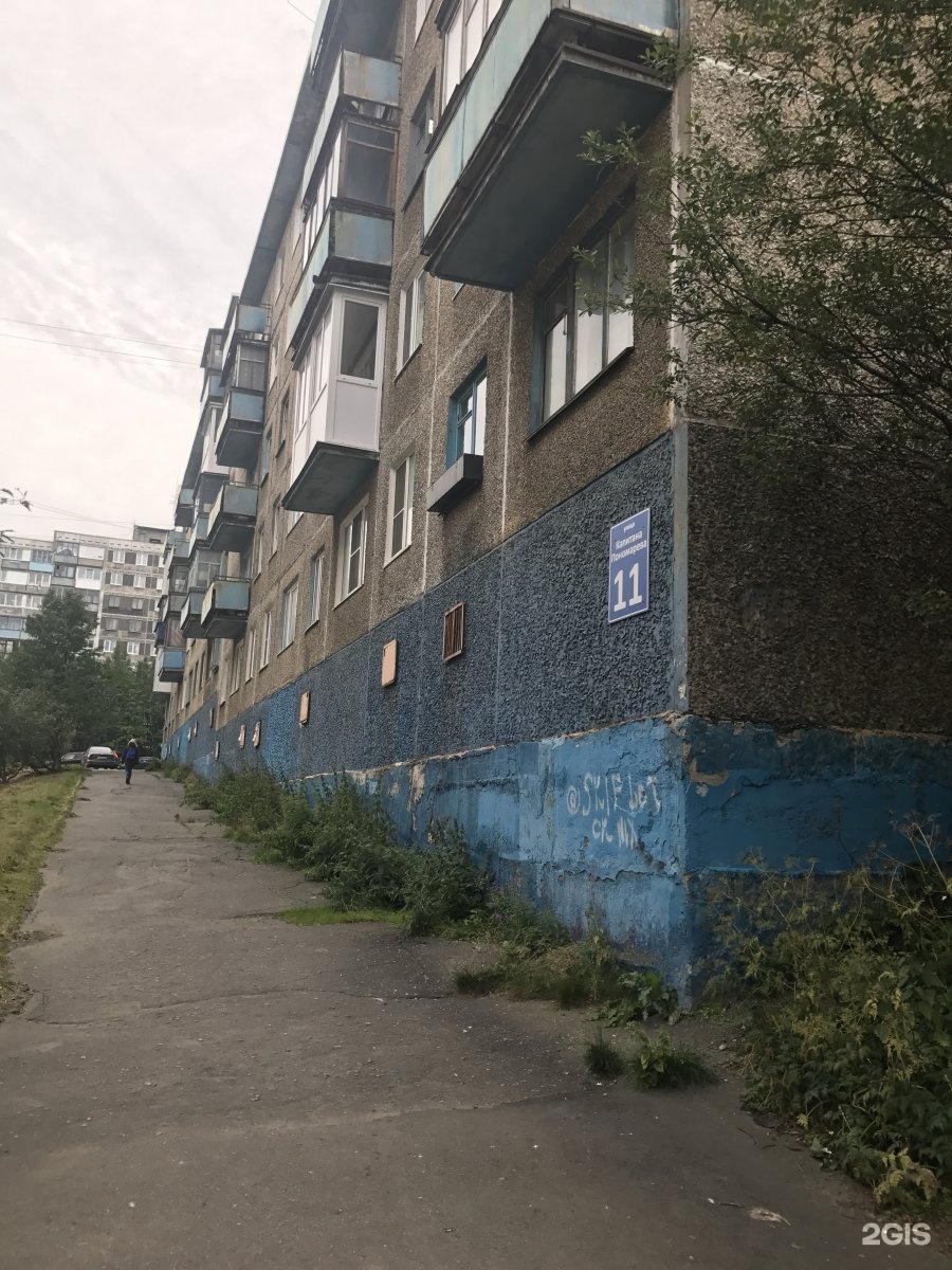 улица пономарева. ул пономарева мурманск. саратов ул пономарева 24. биология 11 класс учебник фгос. пономарева 11.
