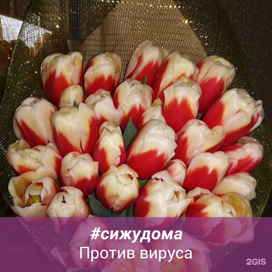 Фабрика Солнца, продуктовый магазин, Димитрова, 21а, Майкоп — 2ГИС