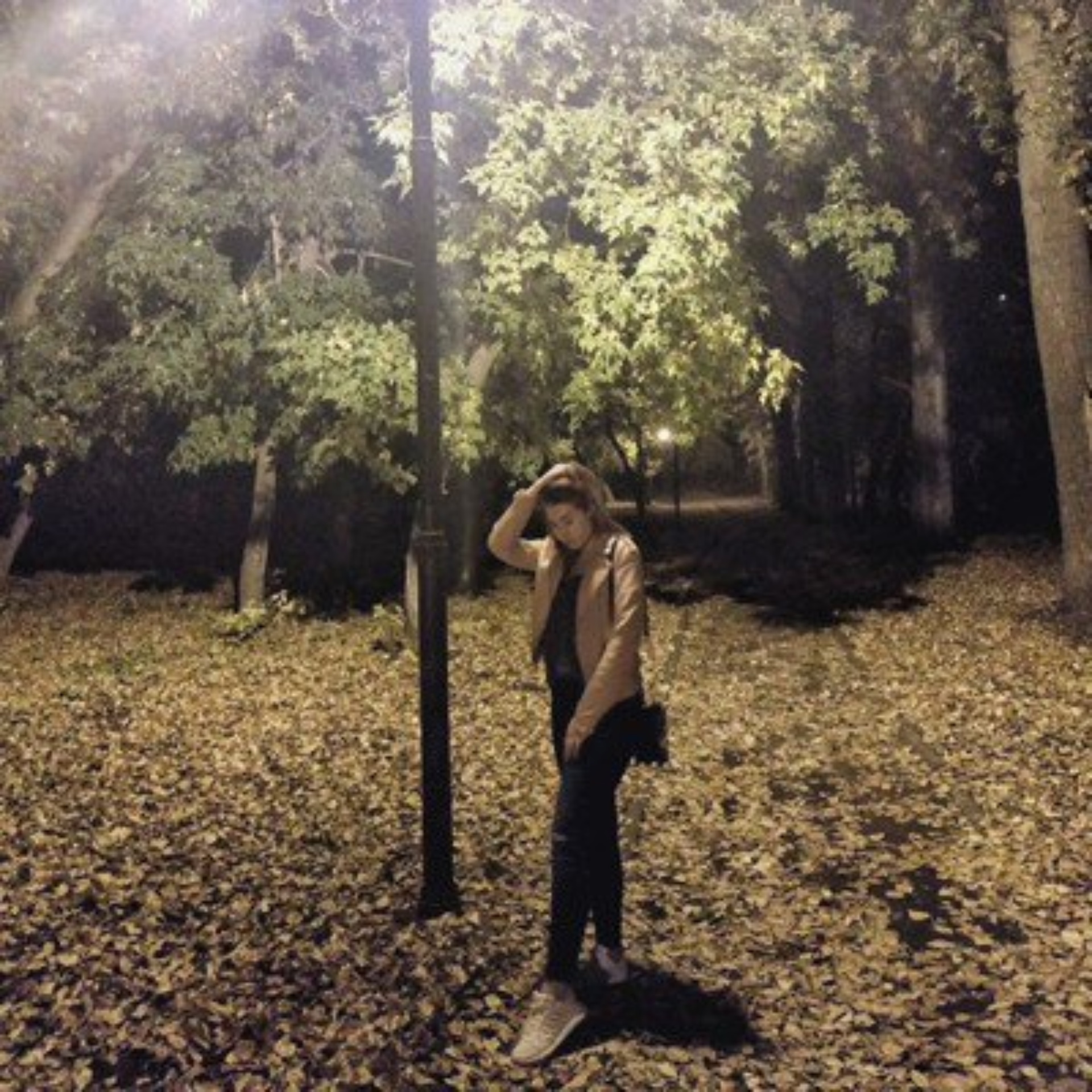 Новосібірдің Заельцовский орталық ауданындағы арзан жезөкшелер