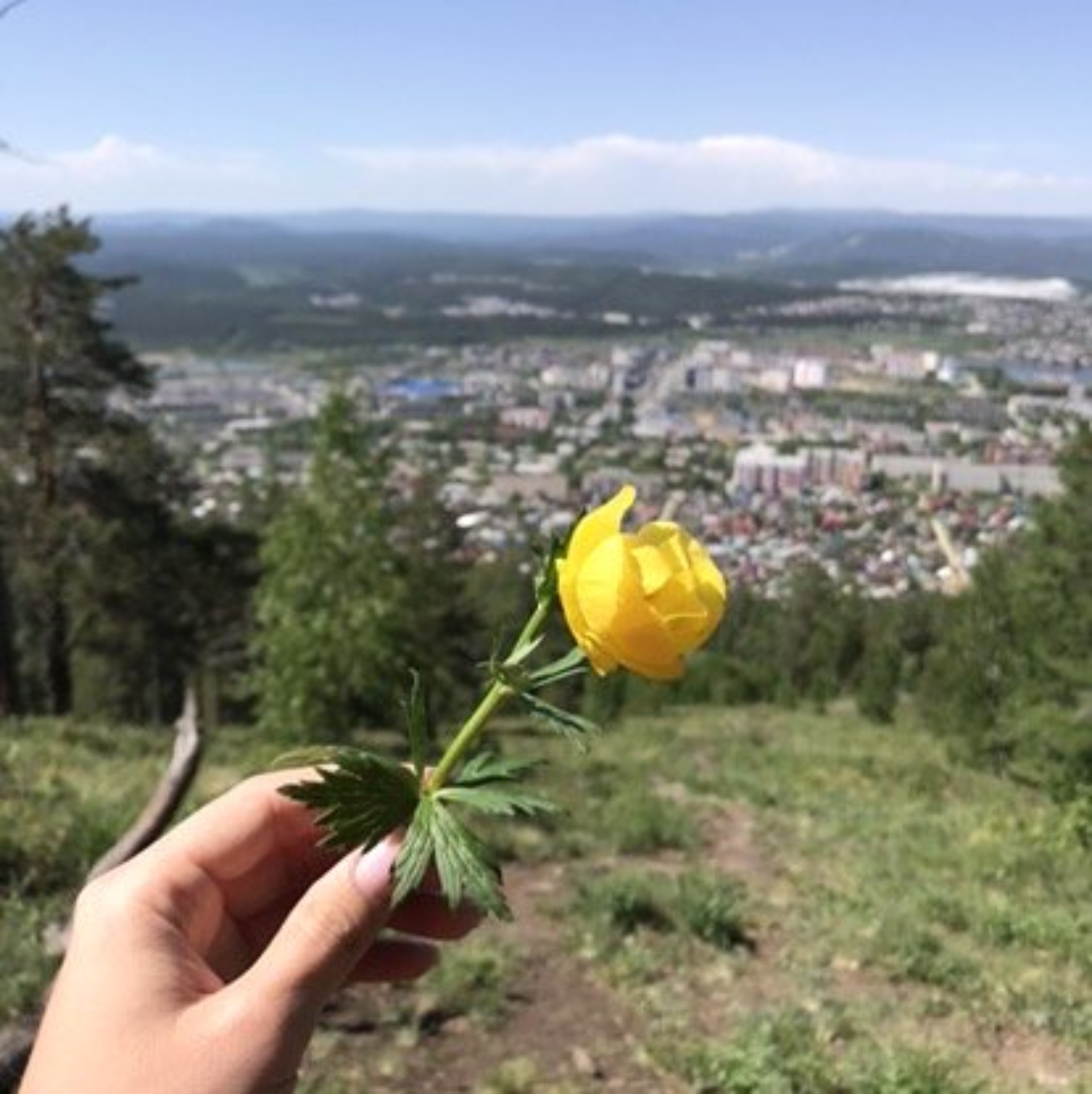 Люкс-вода, торговый дом, проспект Автозаводцев, 29, Миасс — 2ГИС