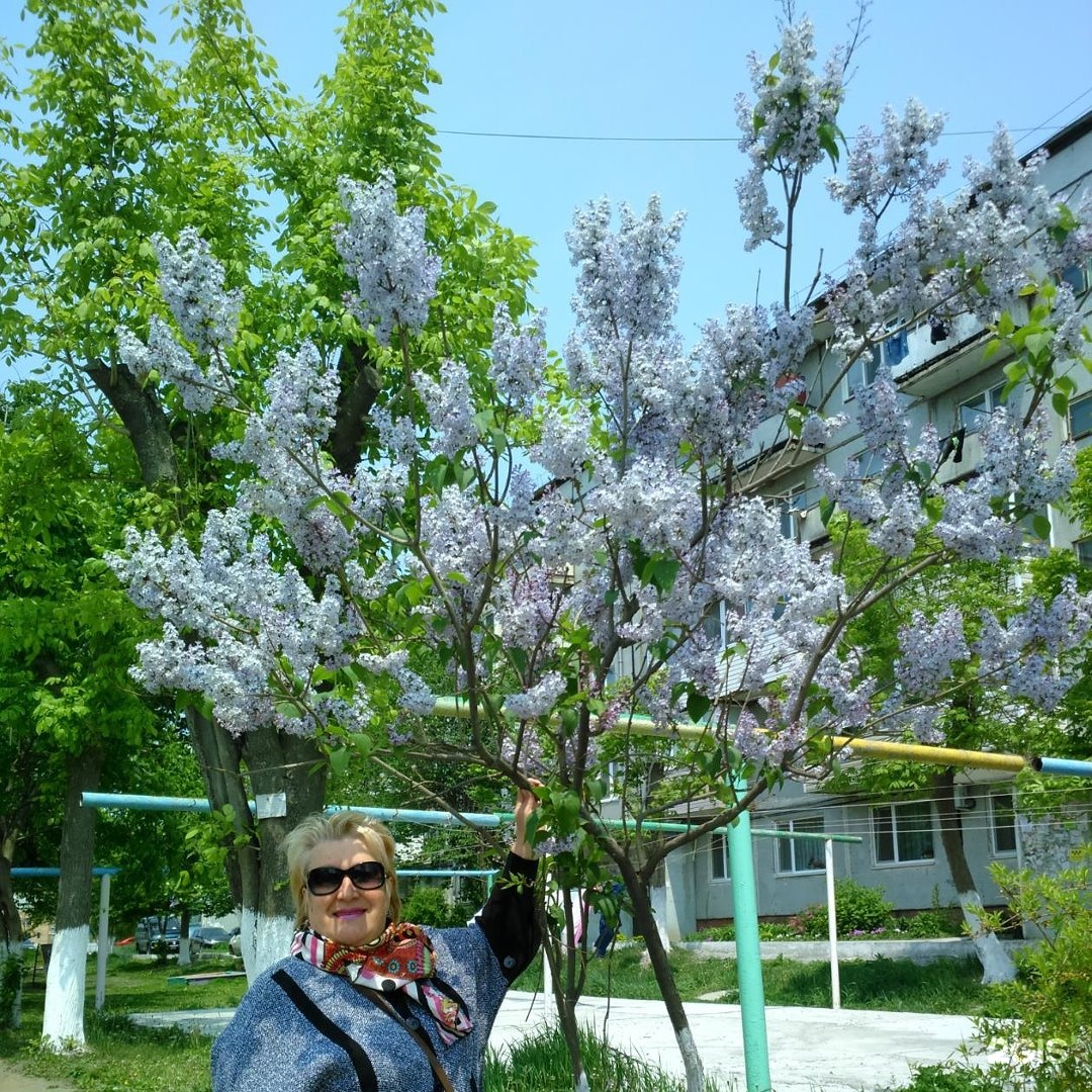 Находкинская городская больница, отделение травматологии, улица Пирогова,  9, Находка — 2ГИС