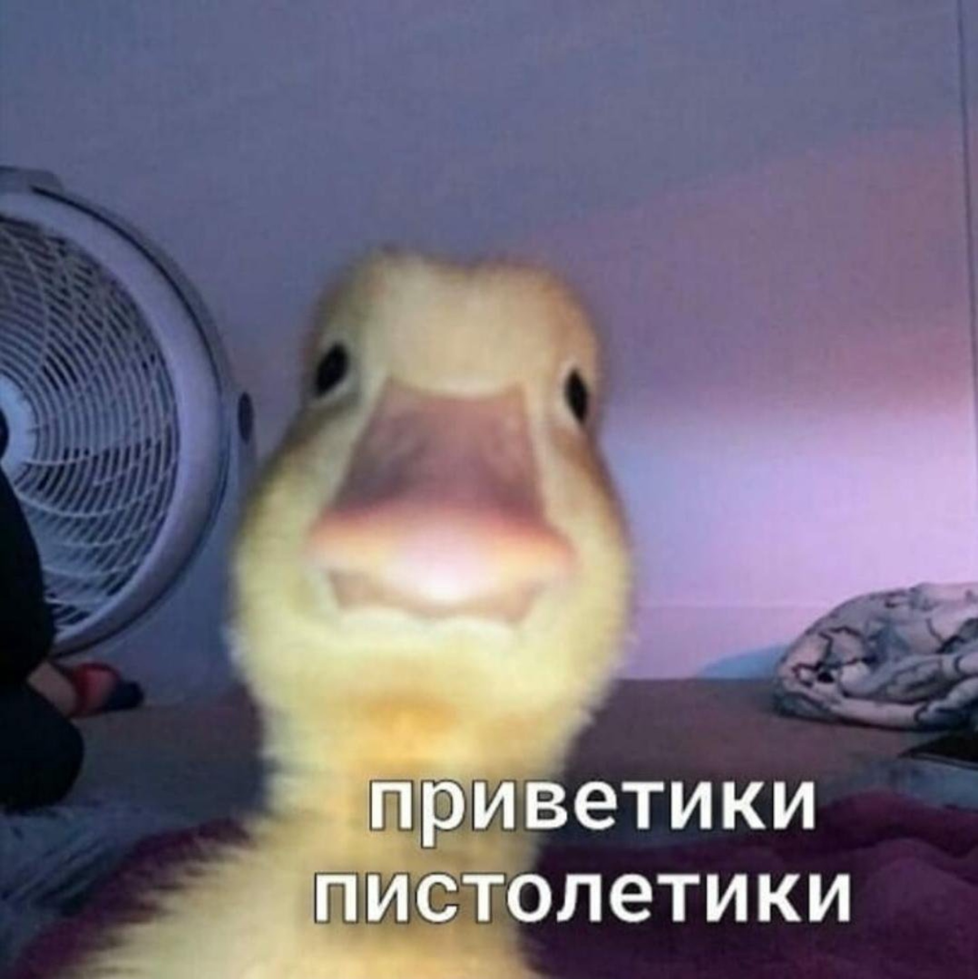 Смешная утка