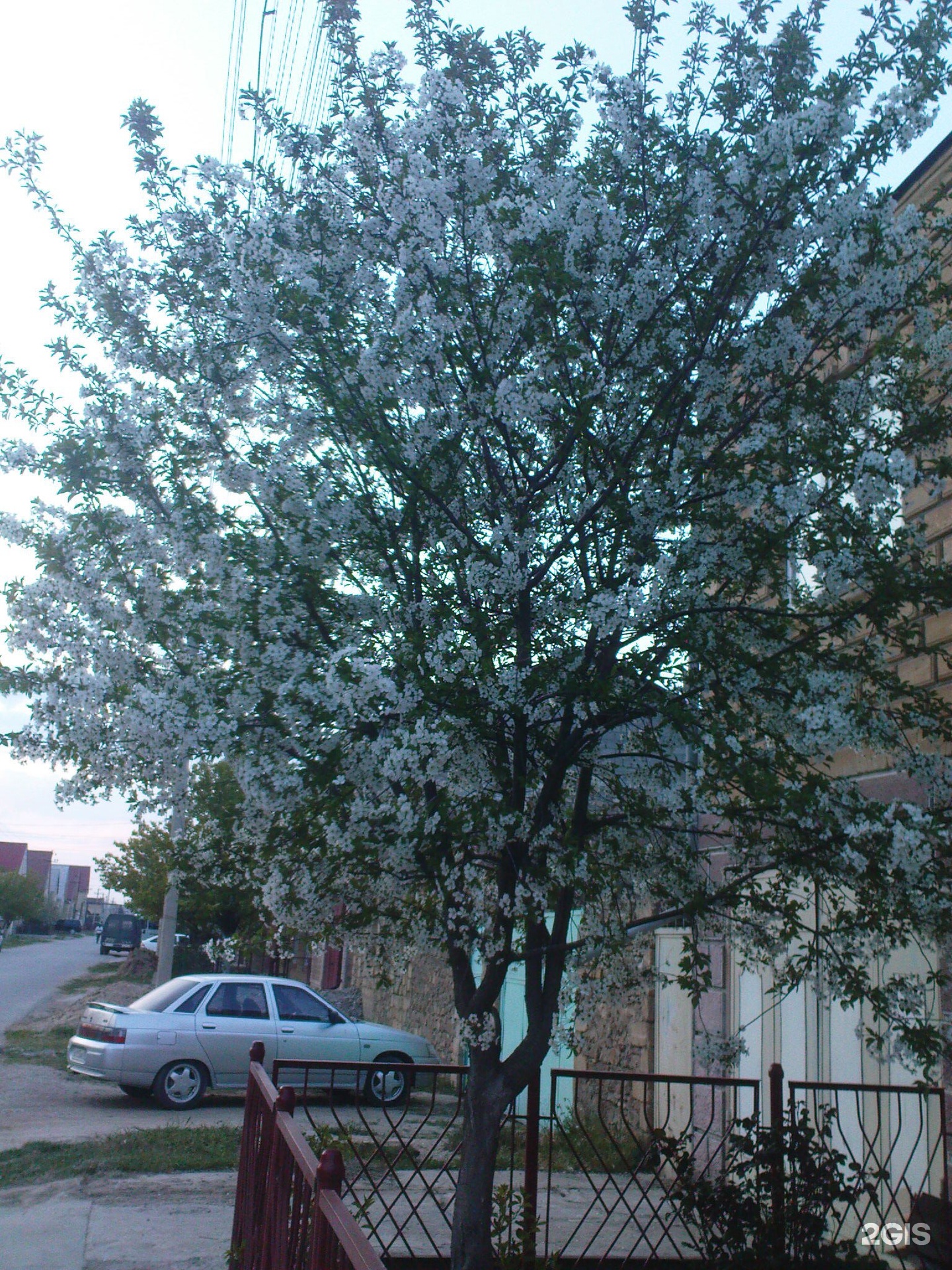 Кунцевские бани, Можайское шоссе, 21 к3, Москва — 2ГИС