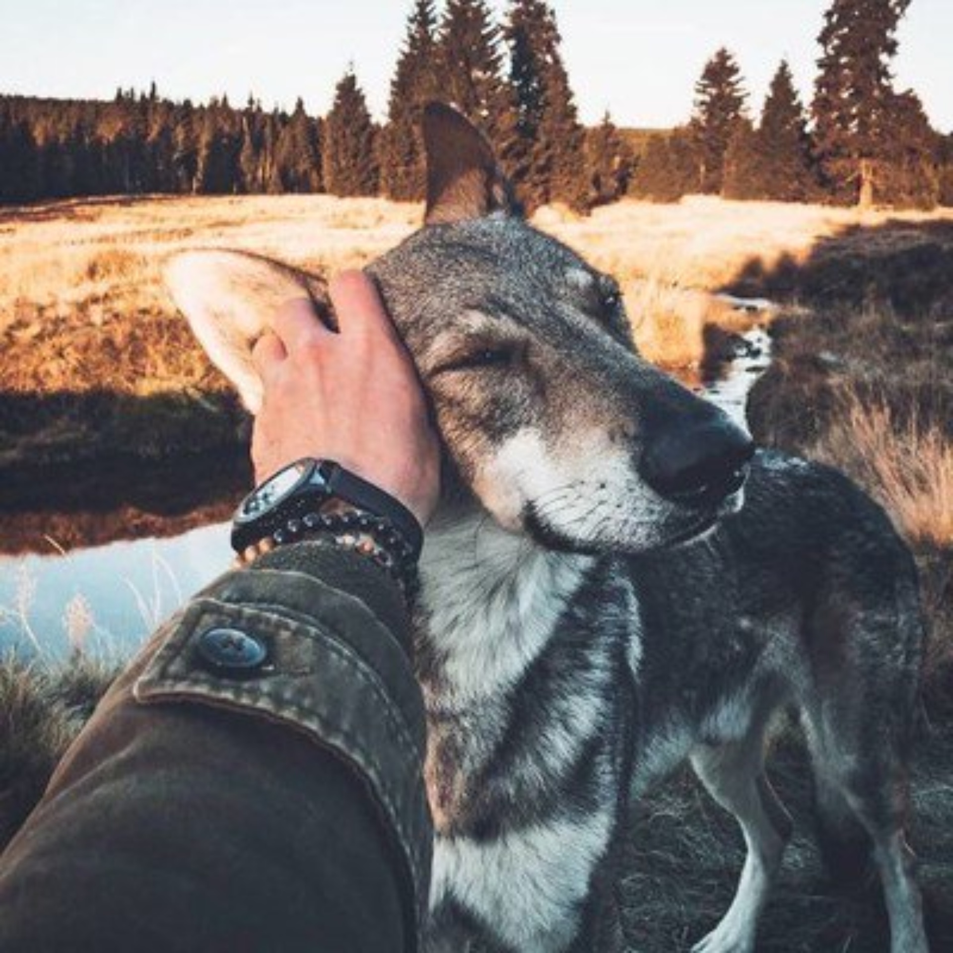 Амбулаторное отделение, Розы Люксембург, 17, Томск — 2ГИС