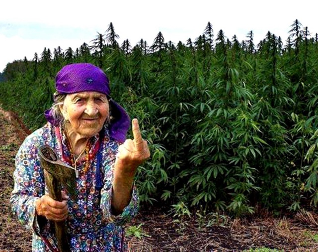 Конопля набережные челны казахский марихуана