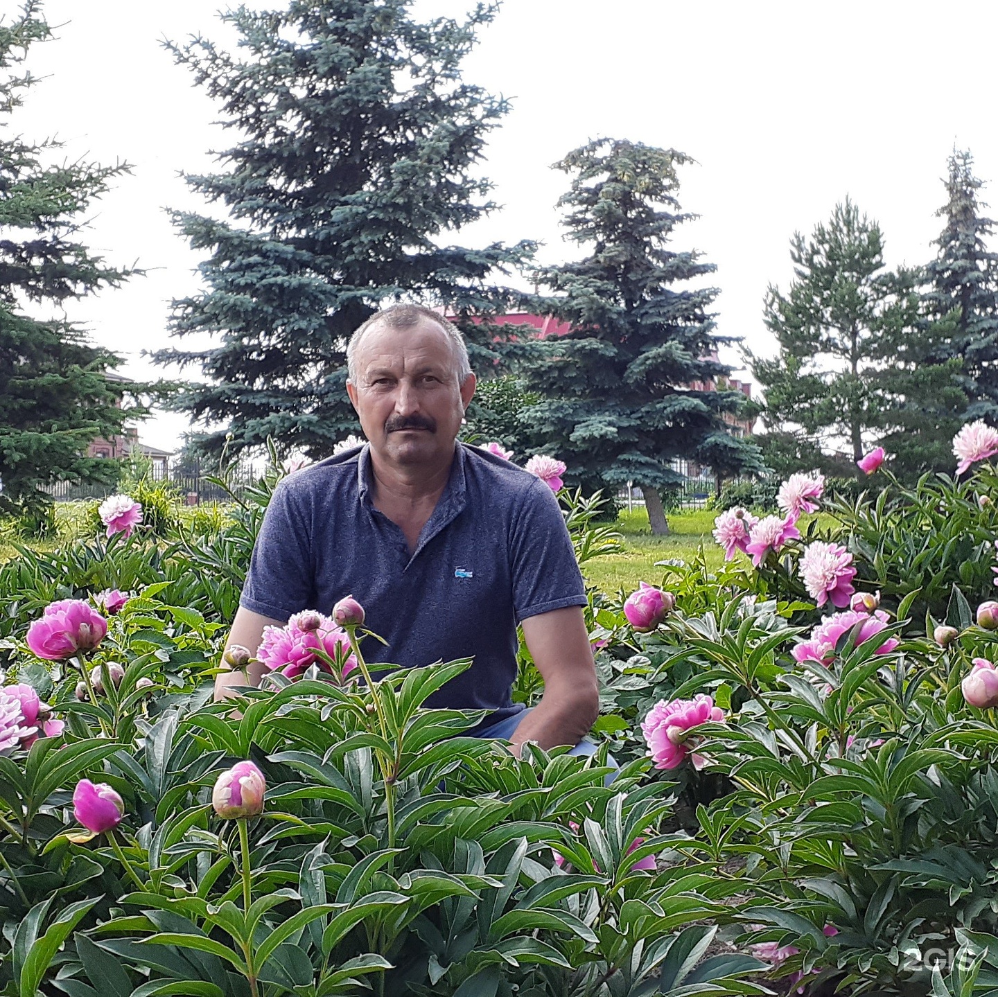 Медиаль, медицинский центр, Совхозная, 3а, Ижевск — 2ГИС