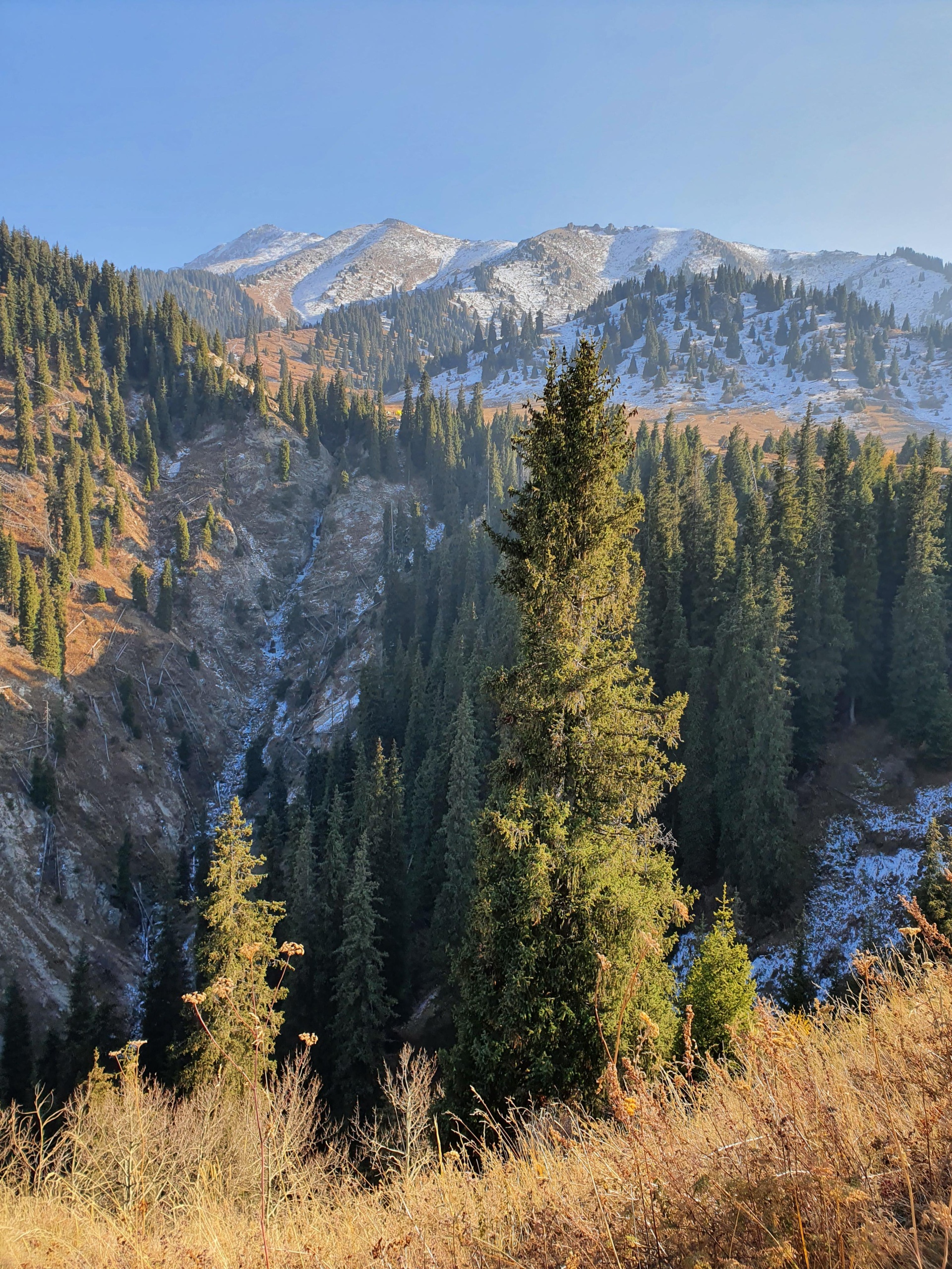 Күтпеген өрескел секс