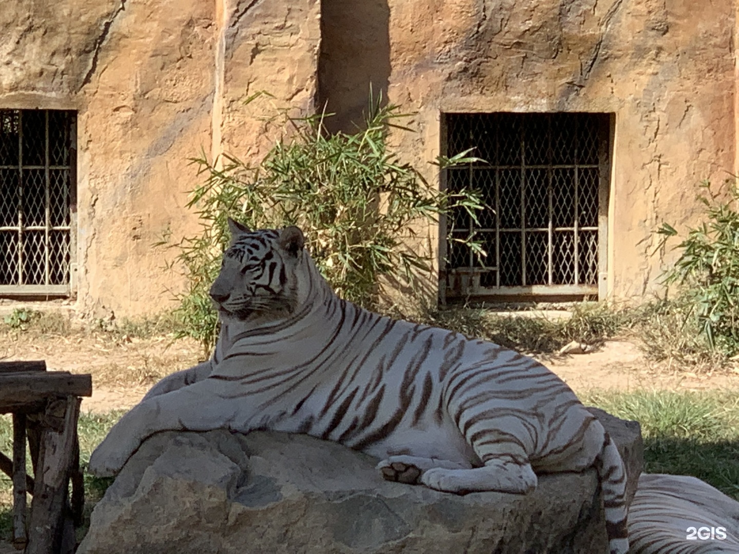 зоопарк во владивостоке