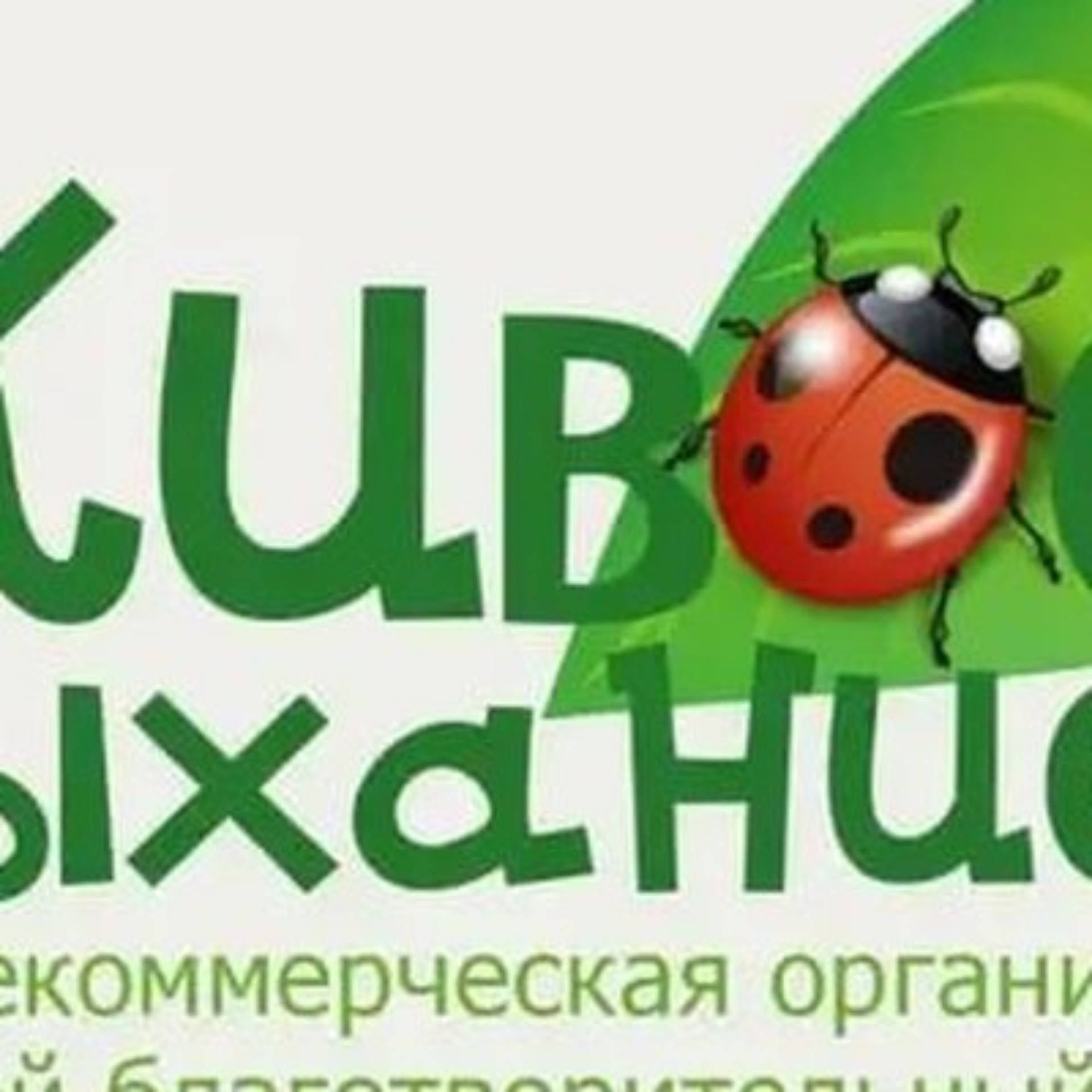 Красного Текстильщика, 10-12 лит В в Санкт-Петербурге — 2ГИС