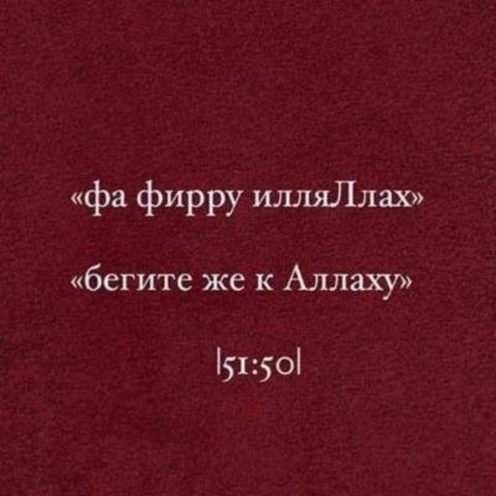 Эконом, торговый дом, проспект Али-Гаджи Акушинского, 32в, Махачкала — 2ГИС