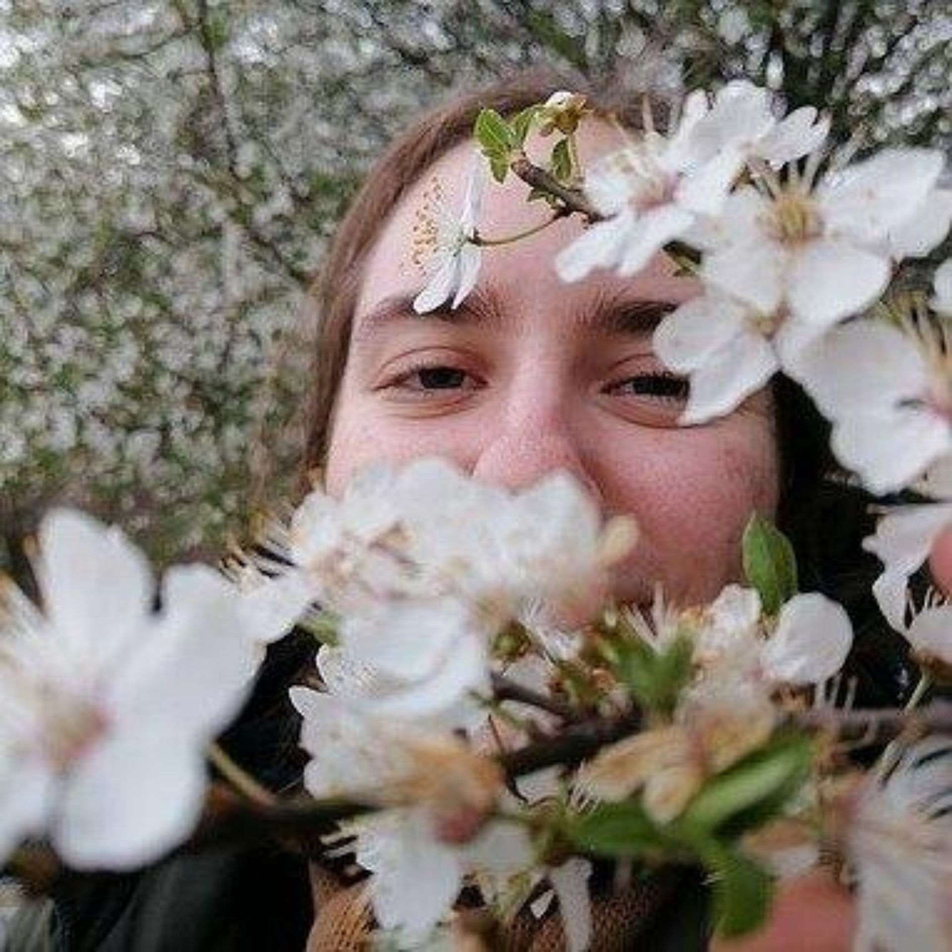 Тулуза, кафе-кондитерская, улица Гайдара Гаджиева, 22, Махачкала — 2ГИС