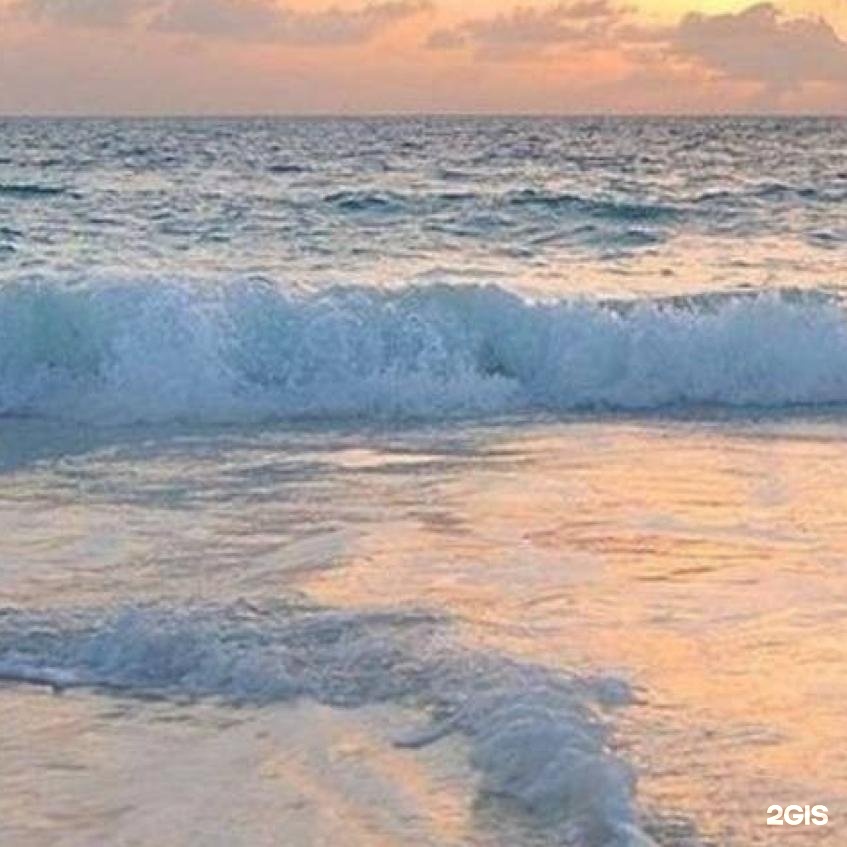 Автор отзыва Софья Аль