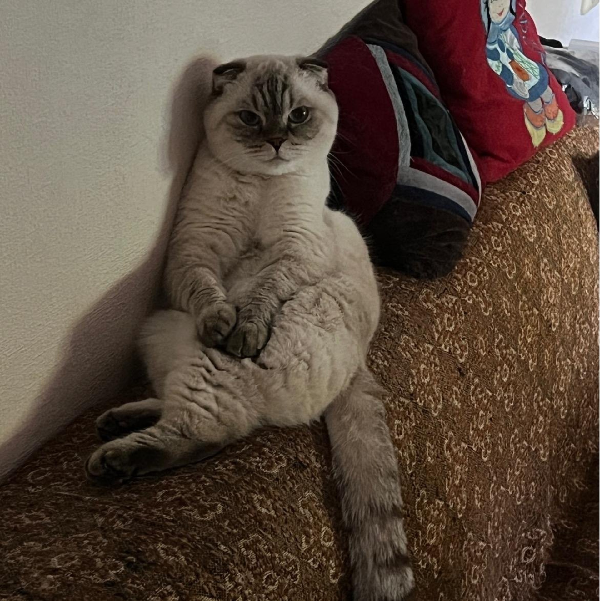 Дик соратын жігіт