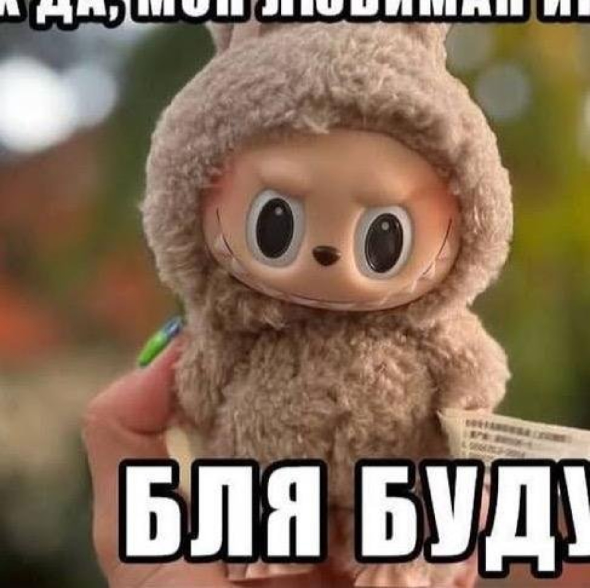 Мұсылман әйелдерінің алғашқы секс видеосы