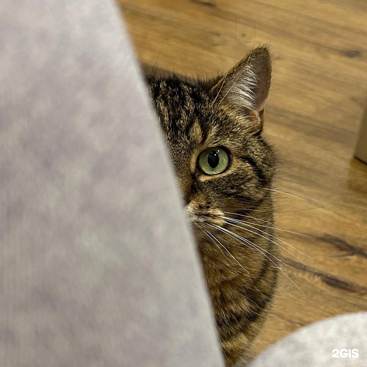 Автор отзыва Анна Икар