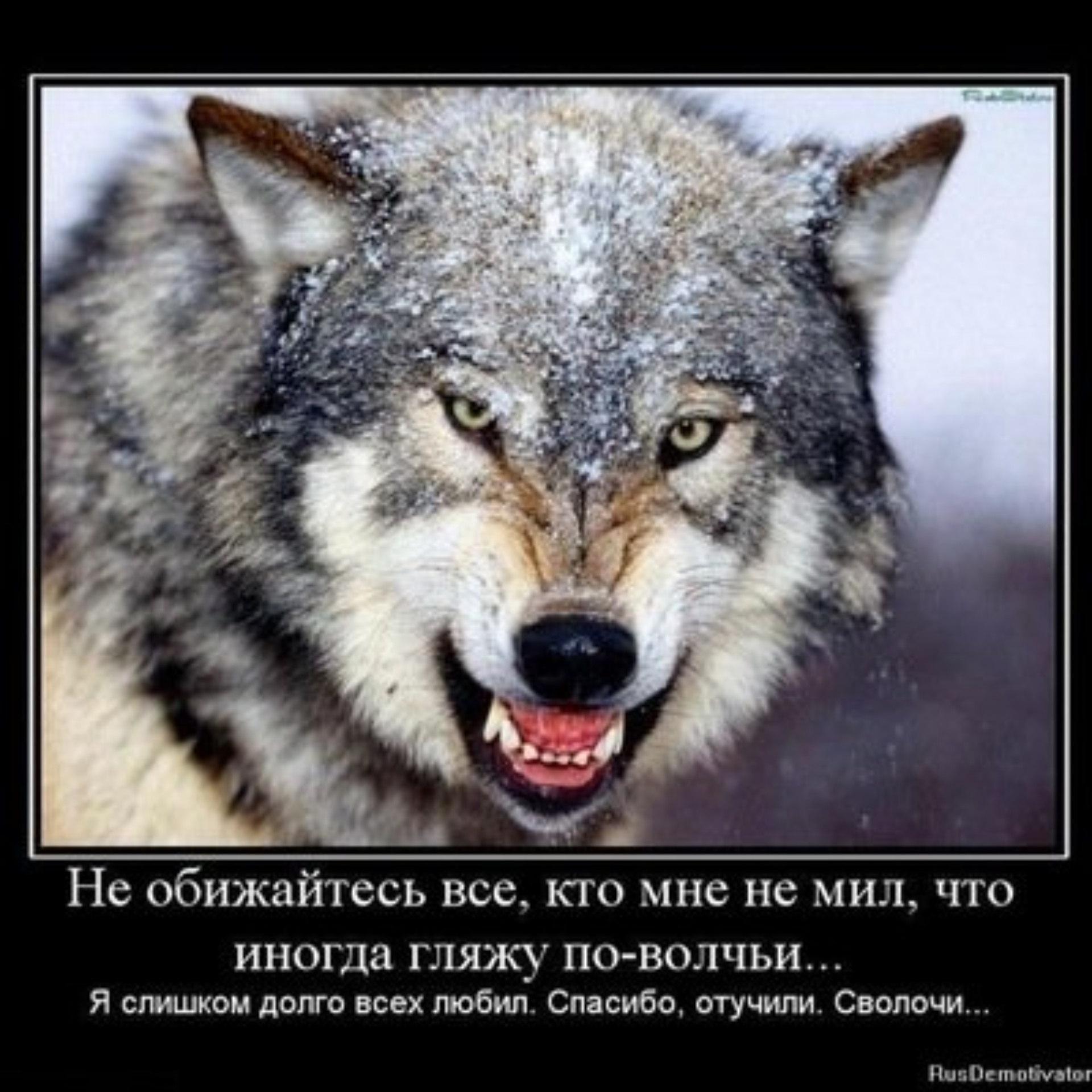 Улица Сибиряков-Гвардейцев, 51/1 в Новосибирске — 2ГИС