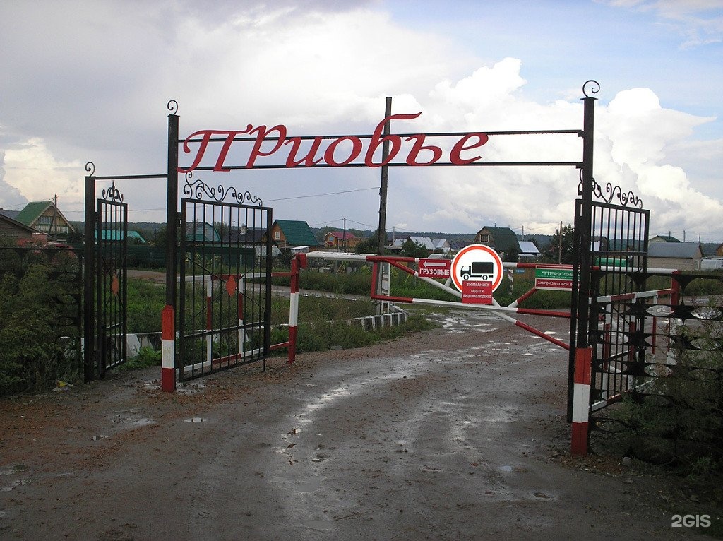 Снт береговое. Сады приобья новосибирск. Сады приобья новосибирск. Приобье колыванский. Приобье.