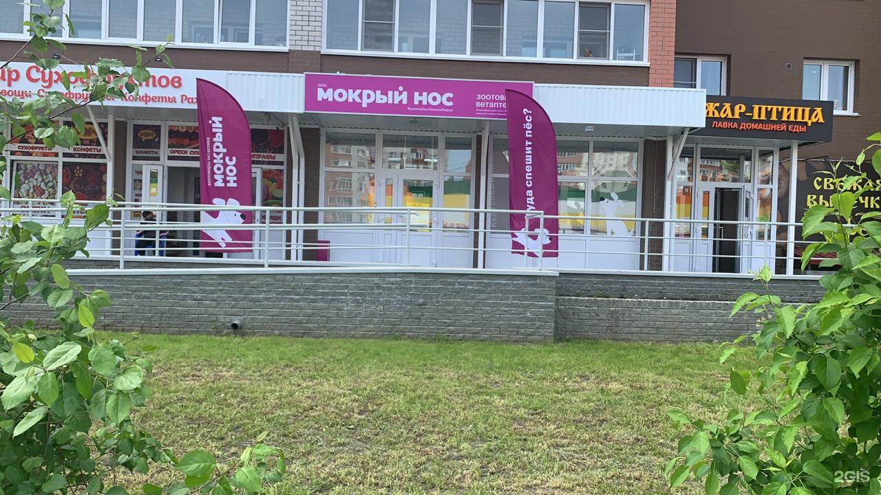 Мокрый нос кронштадт. Краснообск 2-й микрорайон 229. Мокрый нос зоомагазин Москва. Новосибирская 19а мокрый нос. Зоомагазин мокрый нос фото.