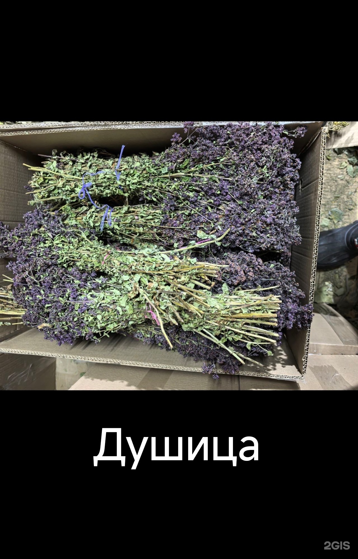 Банник