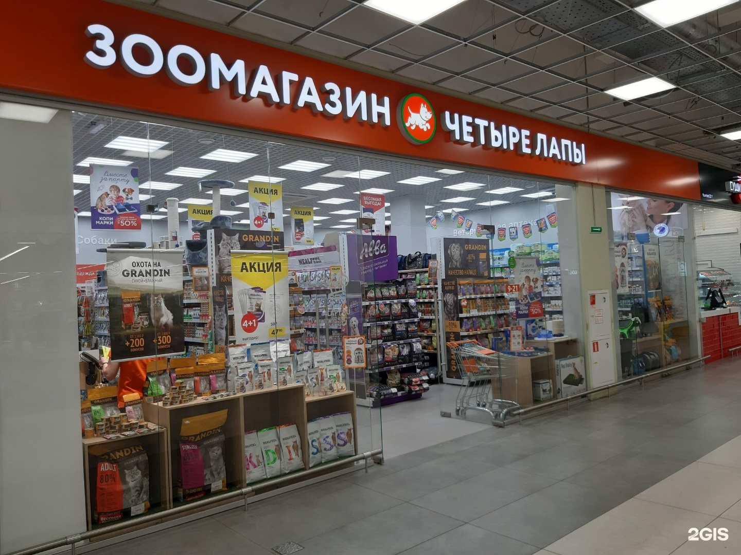 Зоогалерея Интернет Магазин Королев