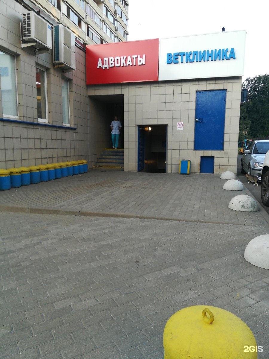 Изображение организации