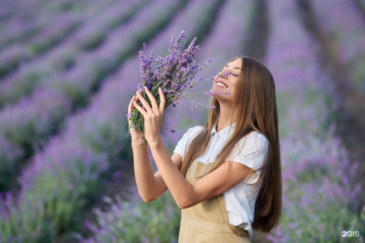 Изображение организации
