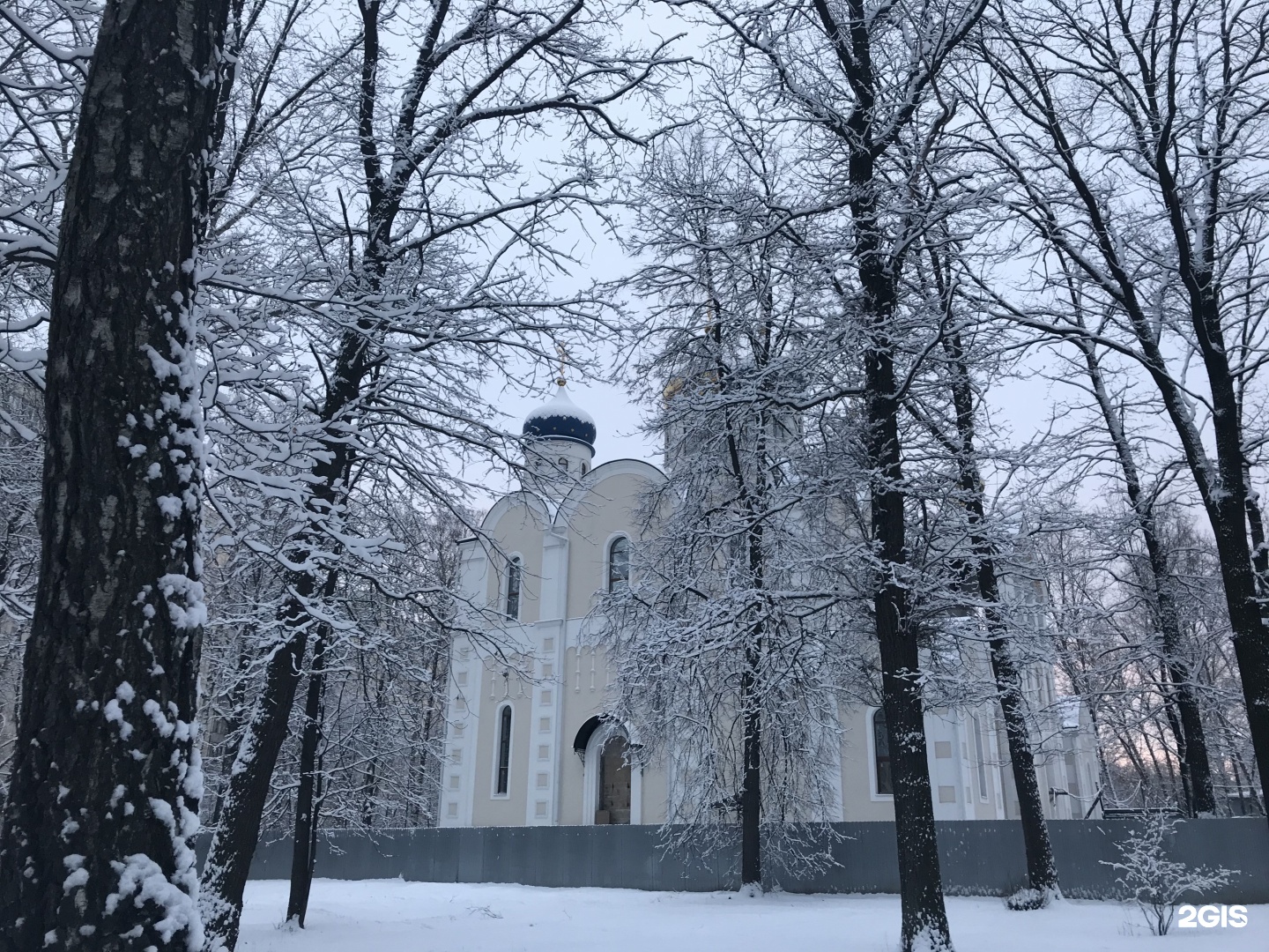 Изображение организации