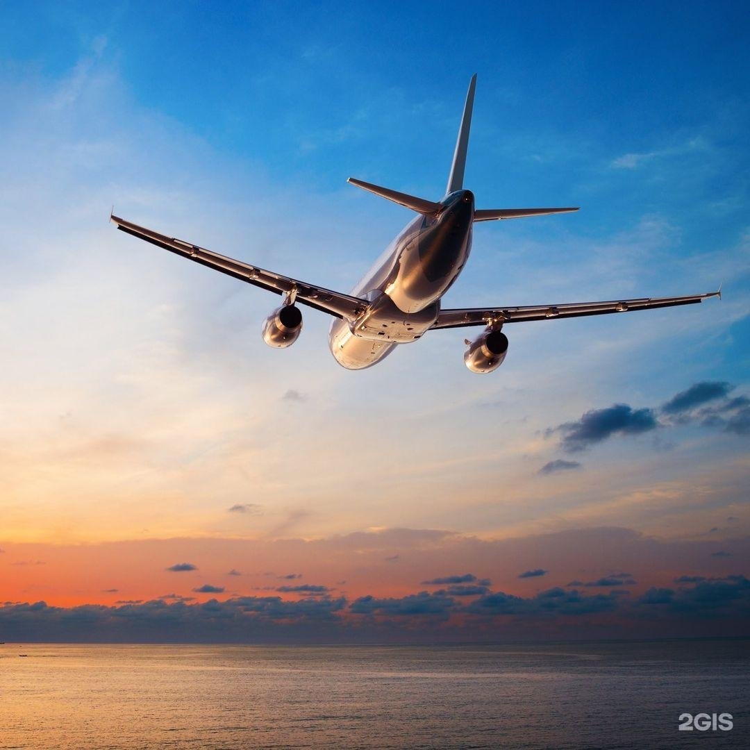 Изображение организации