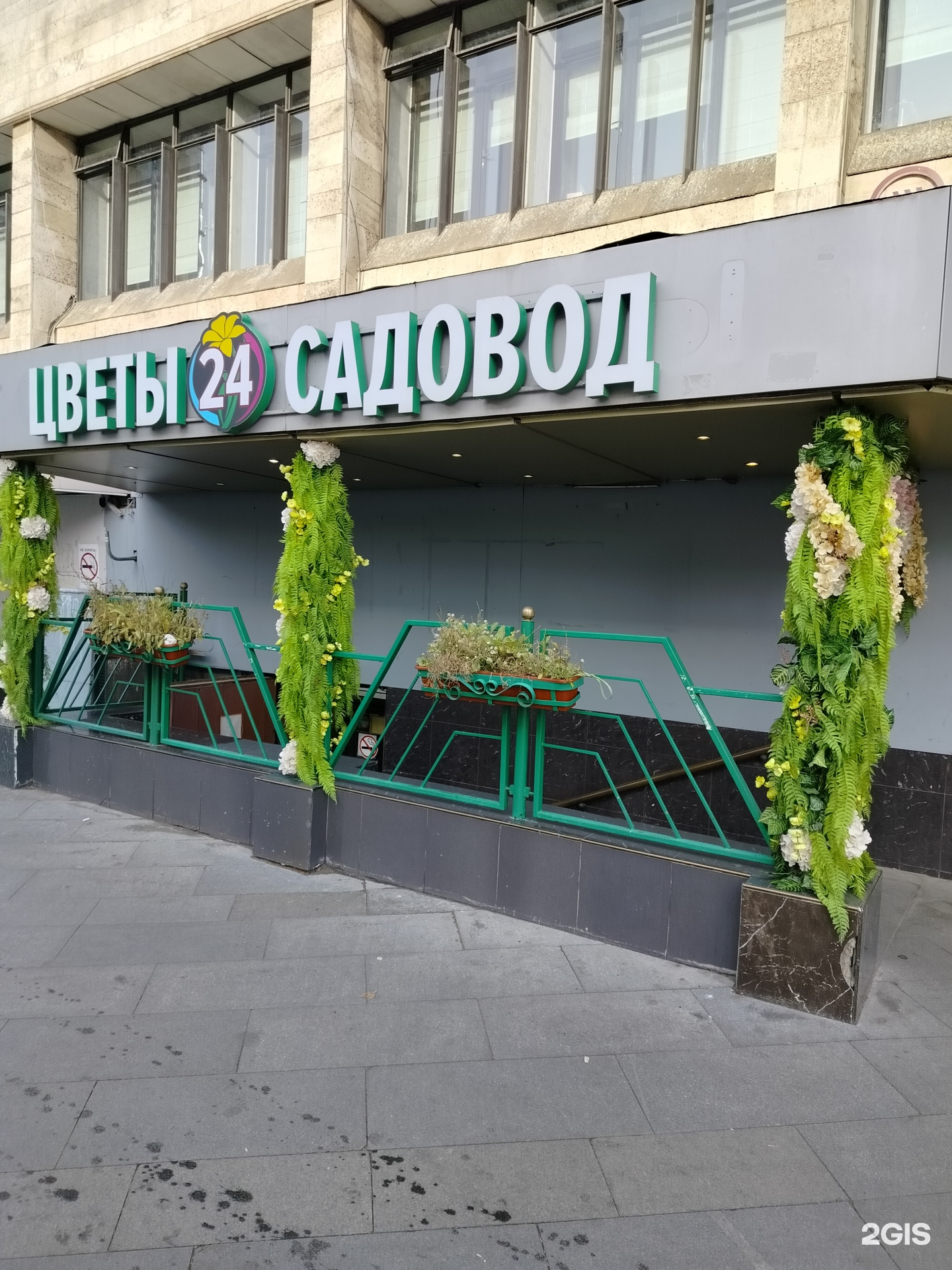 Изображение организации