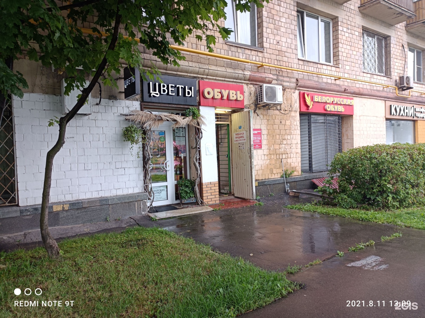 Изображение организации