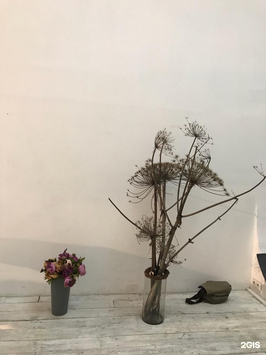 Изображение организации