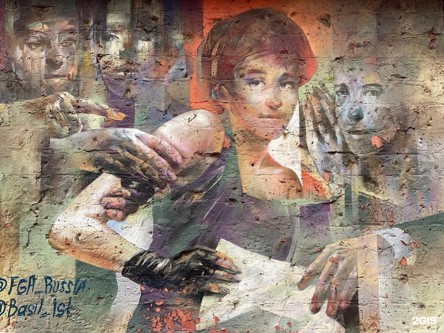 Изображение организации