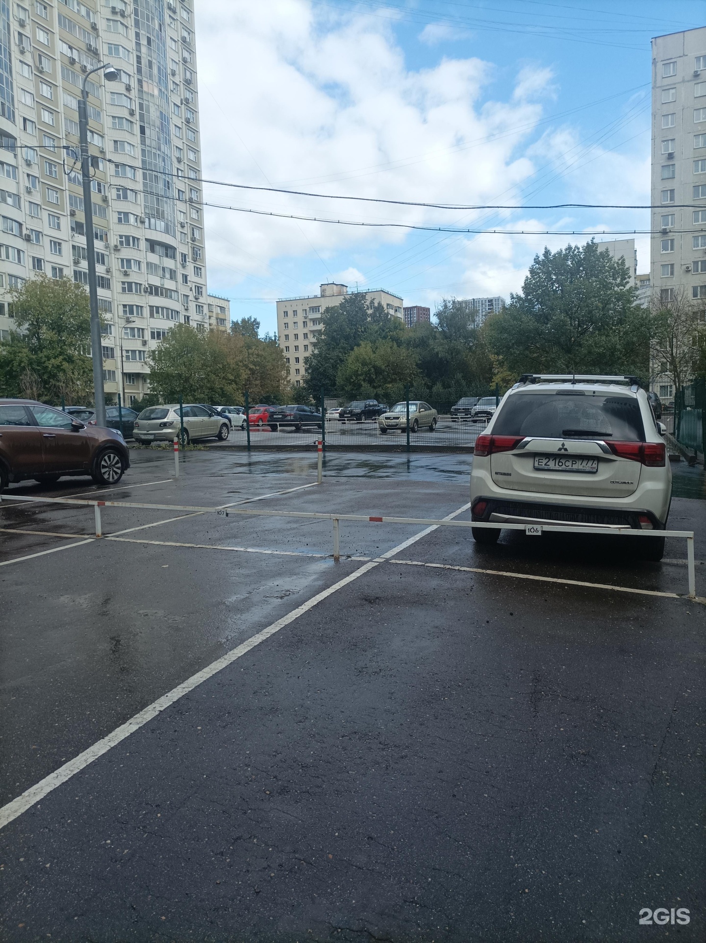 Изображение организации