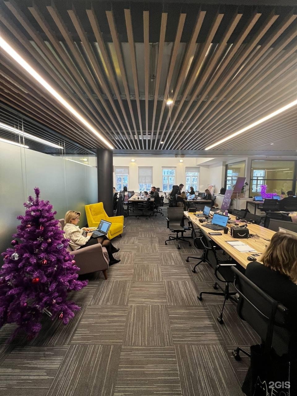 Изображение организации