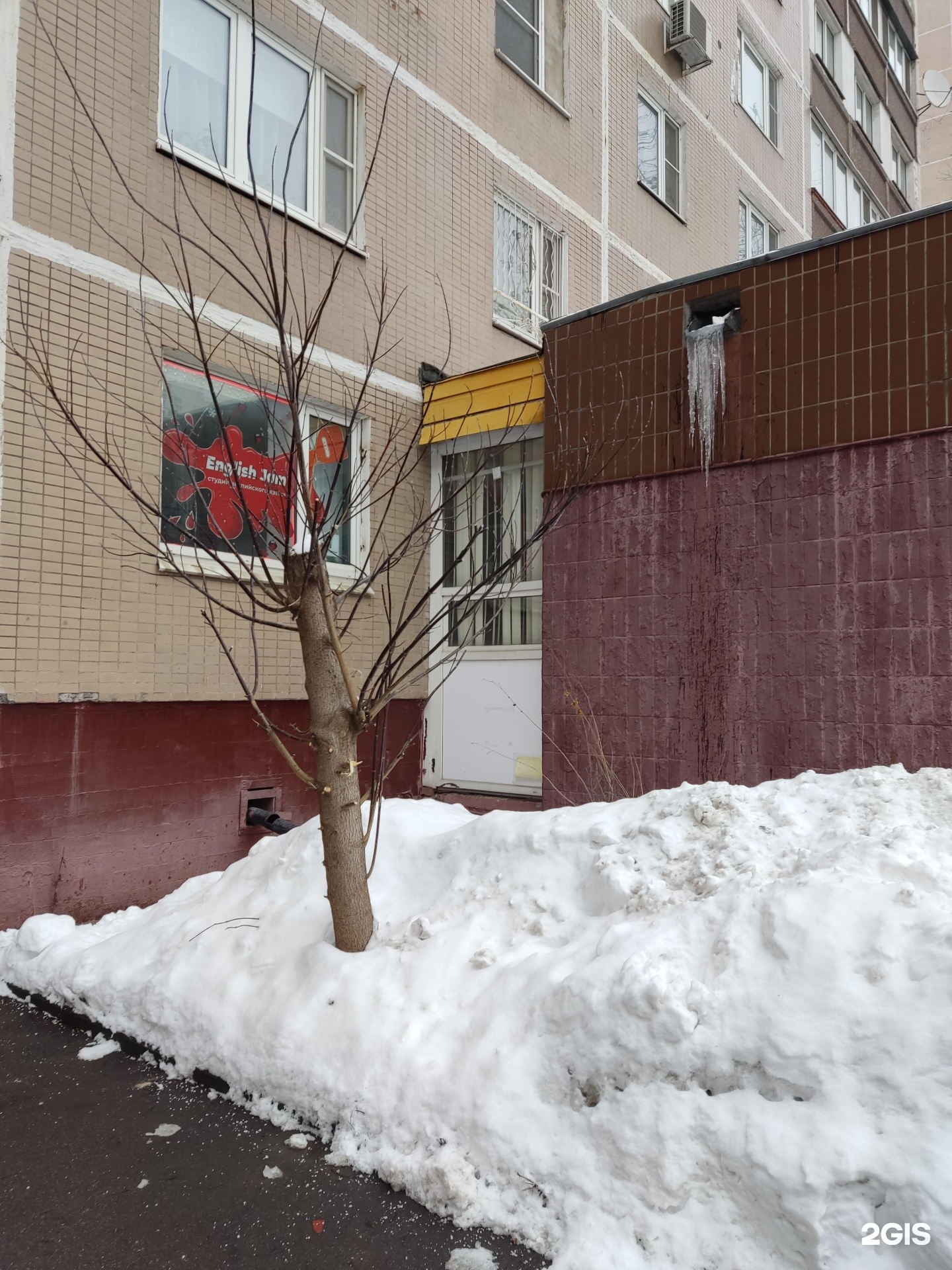 Изображение организации
