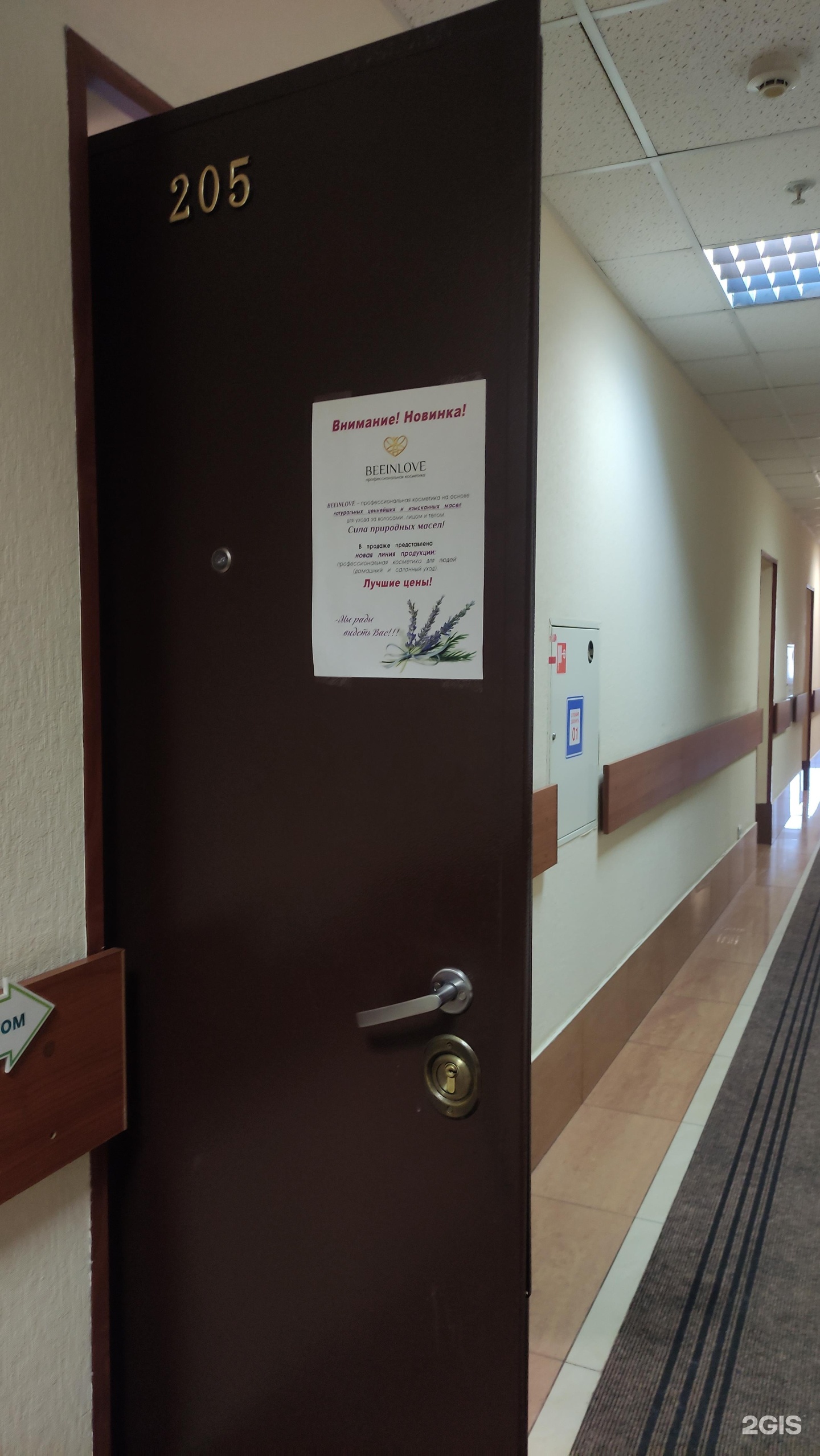 Изображение организации